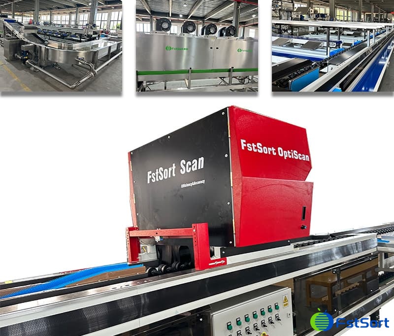 images/1744274391017tomato optical sorter.jpg